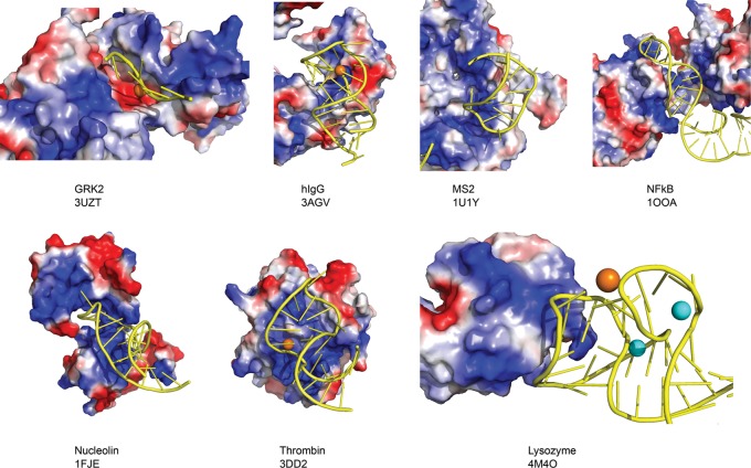 FIGURE 11.