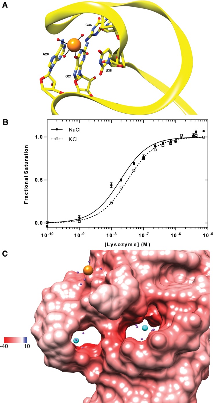 FIGURE 7.