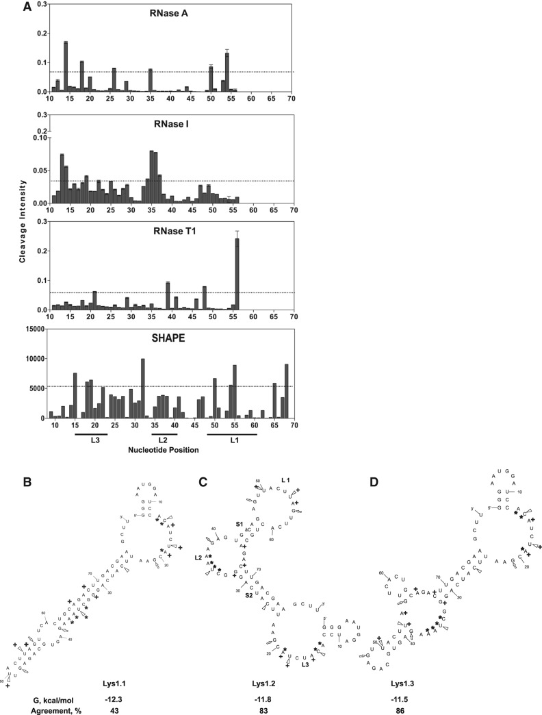 FIGURE 1.