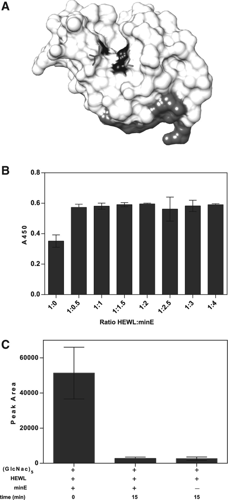 FIGURE 10.