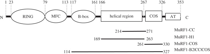 Figure 1.