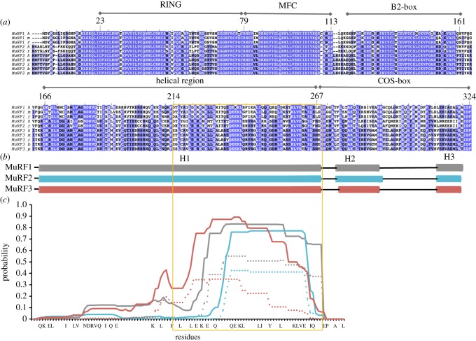 Figure 2.