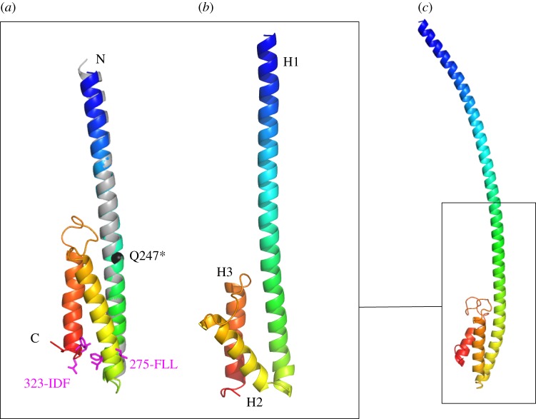 Figure 5.