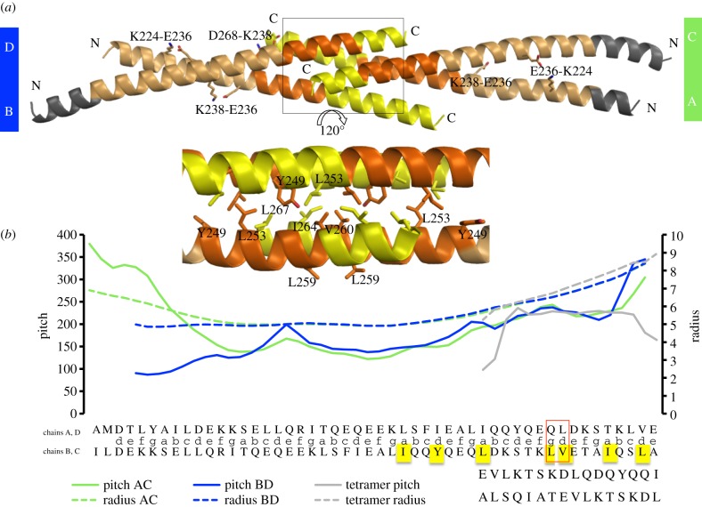 Figure 3.