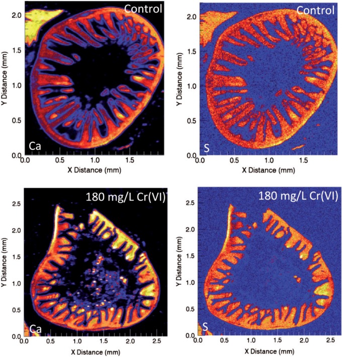 FIG. 4.