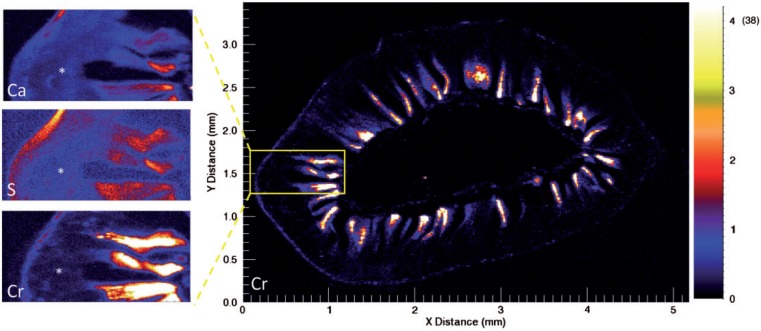 FIG. 5.