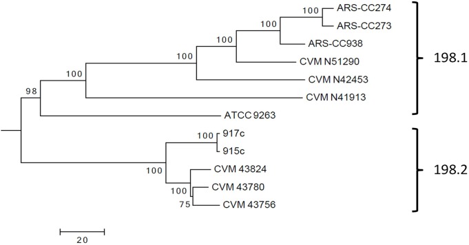 Fig 9