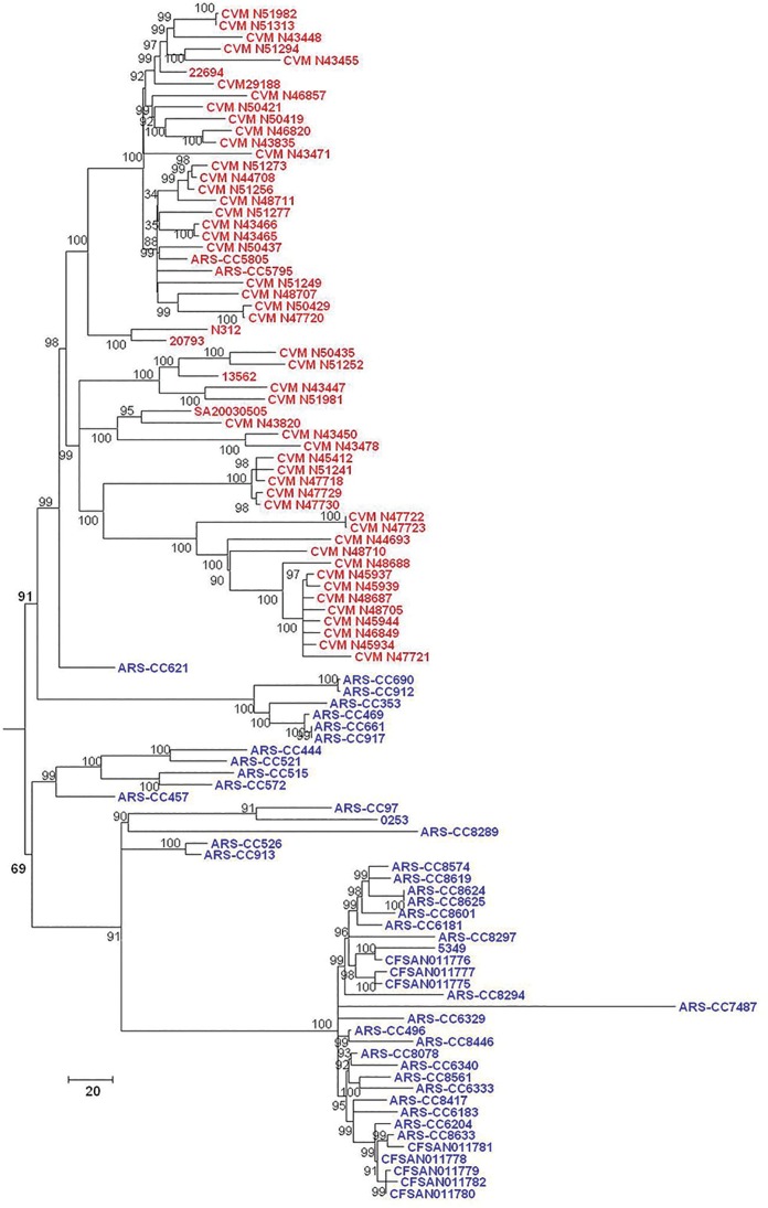 Fig 6