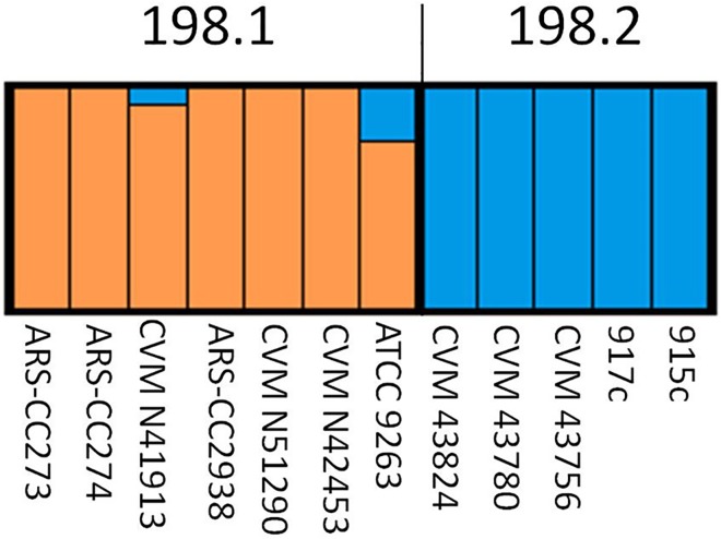 Fig 10