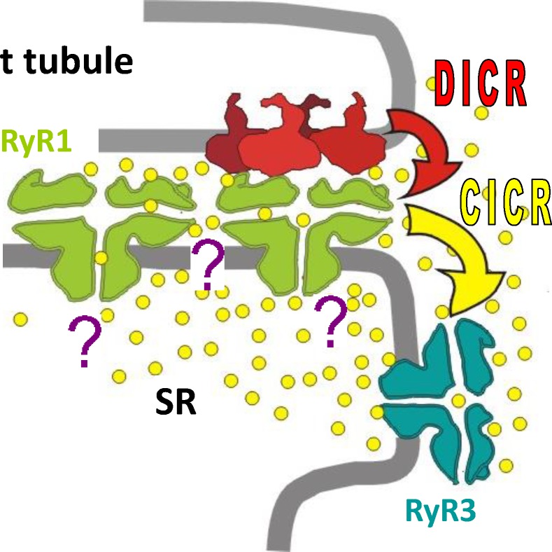 Figure 11.