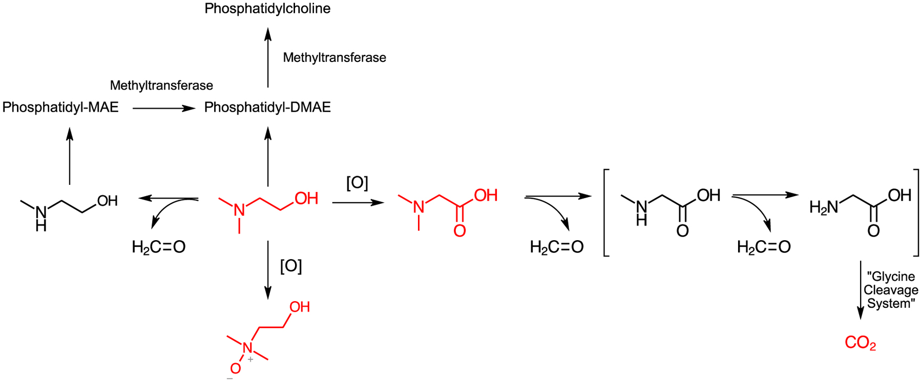 Figure 10: