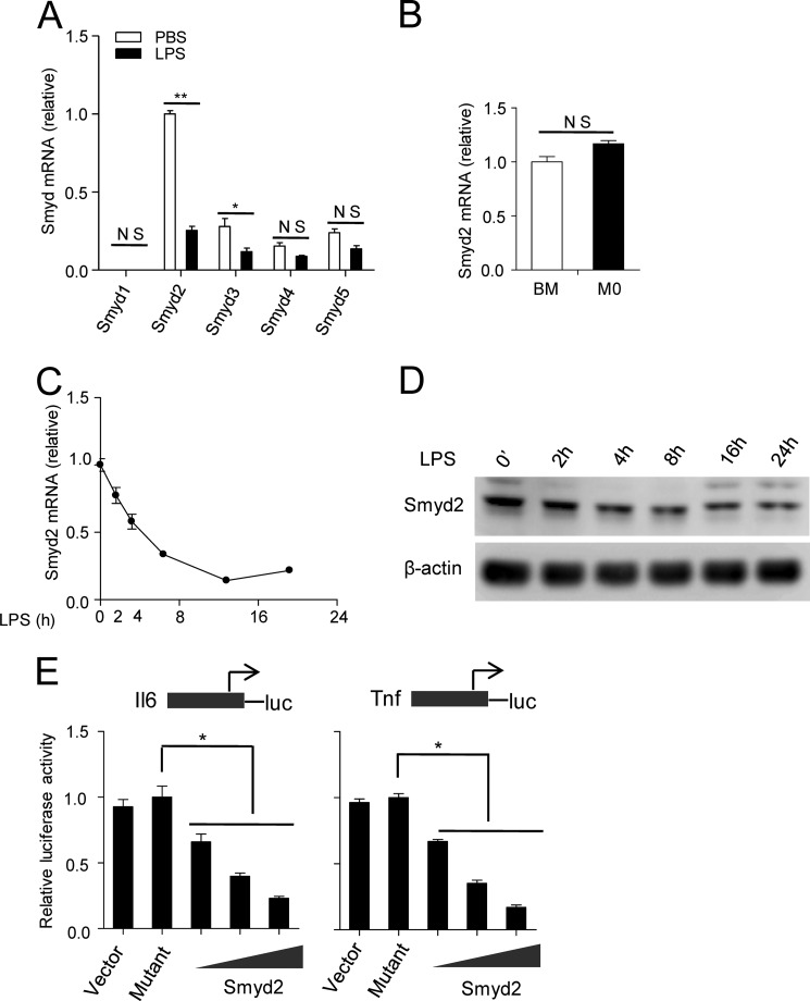 FIGURE 1.