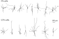 Fig. 1.