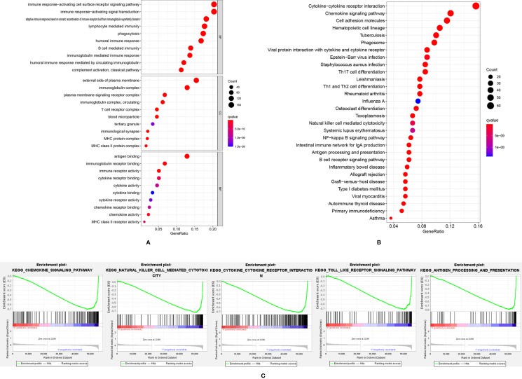 Figure 4