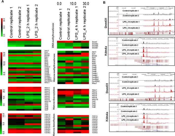 Fig 4