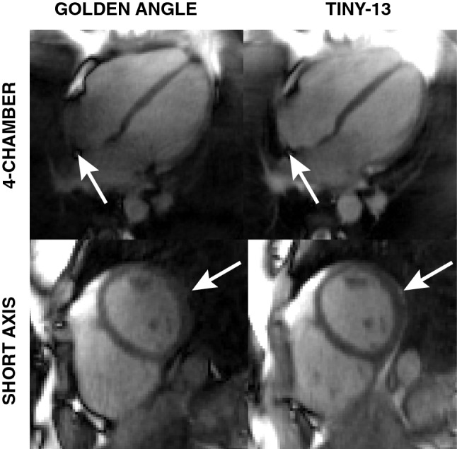 Fig. 7