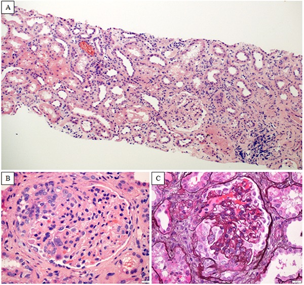 Figure 2