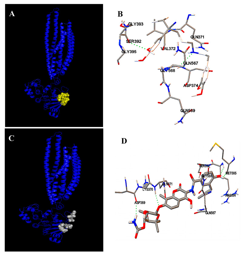 Figure 6