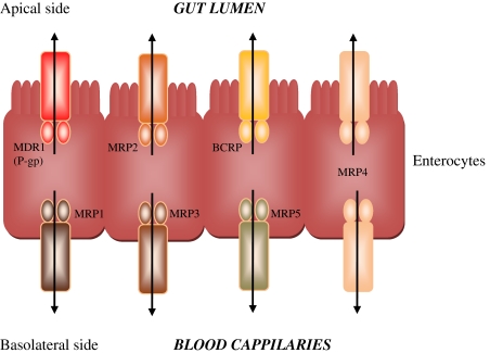 Fig. 2