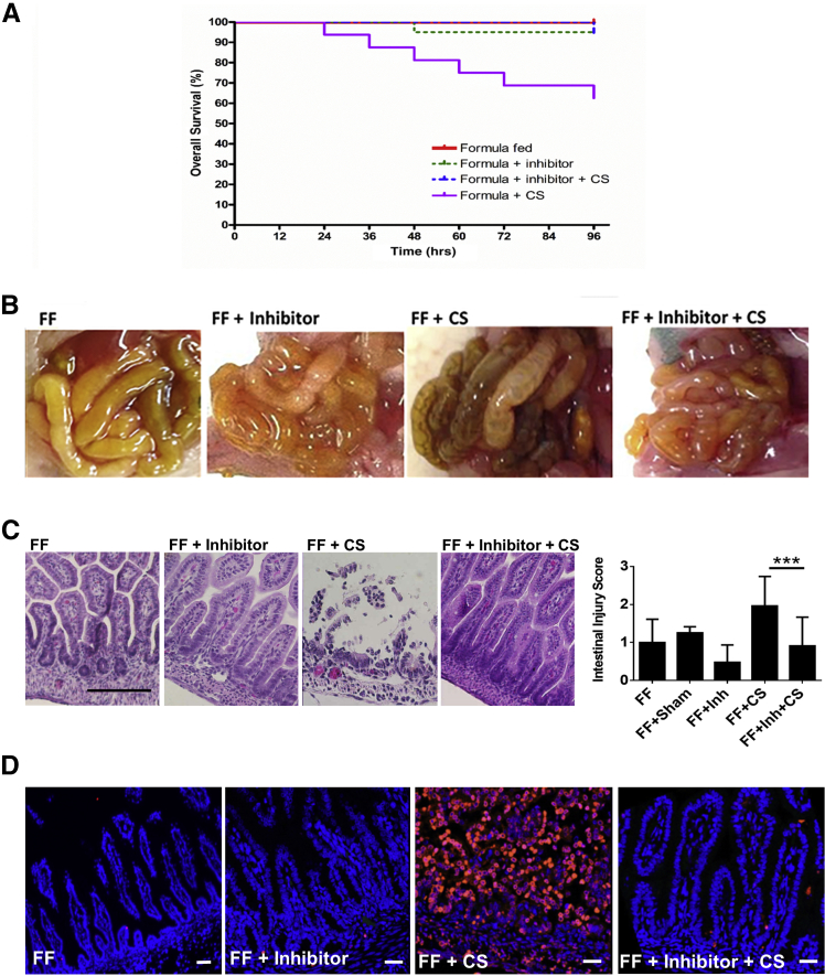 Figure 6