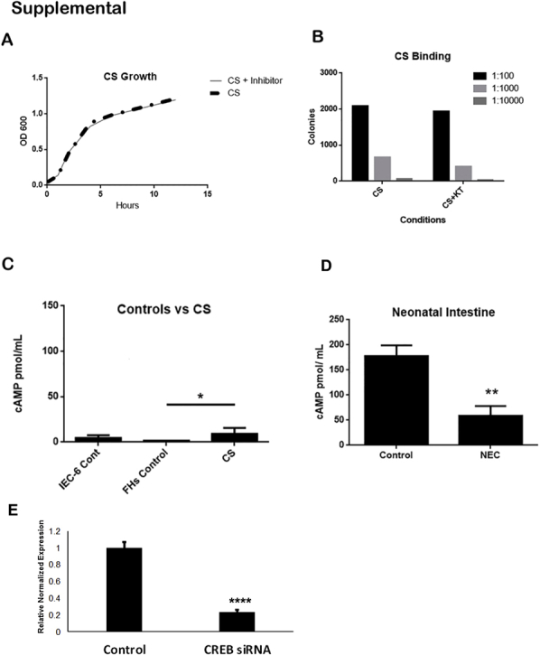 Supplemental Figure S1