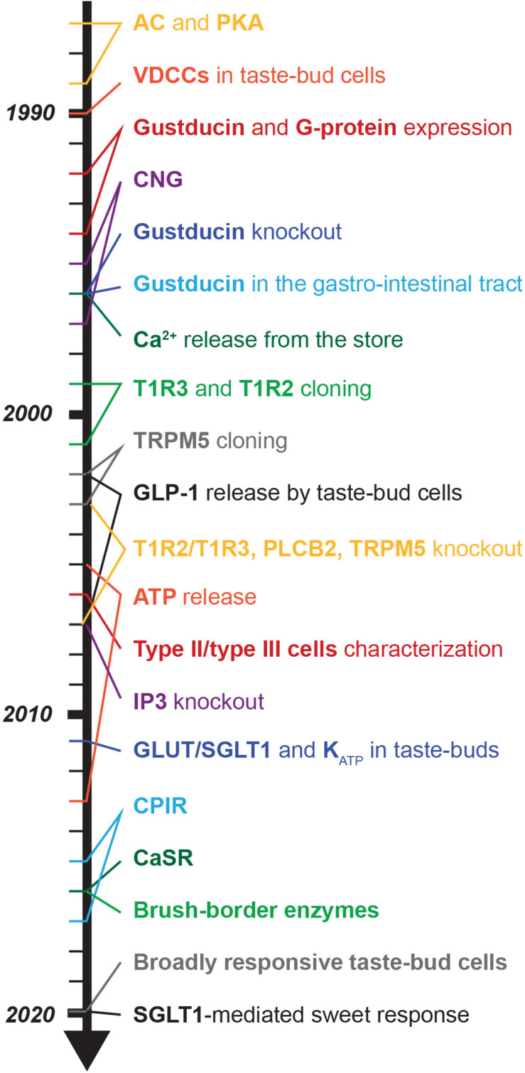 FIGURE 3
