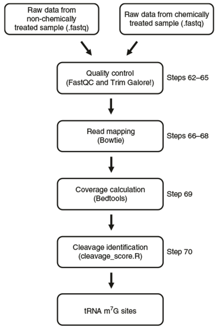 Fig. 2 |