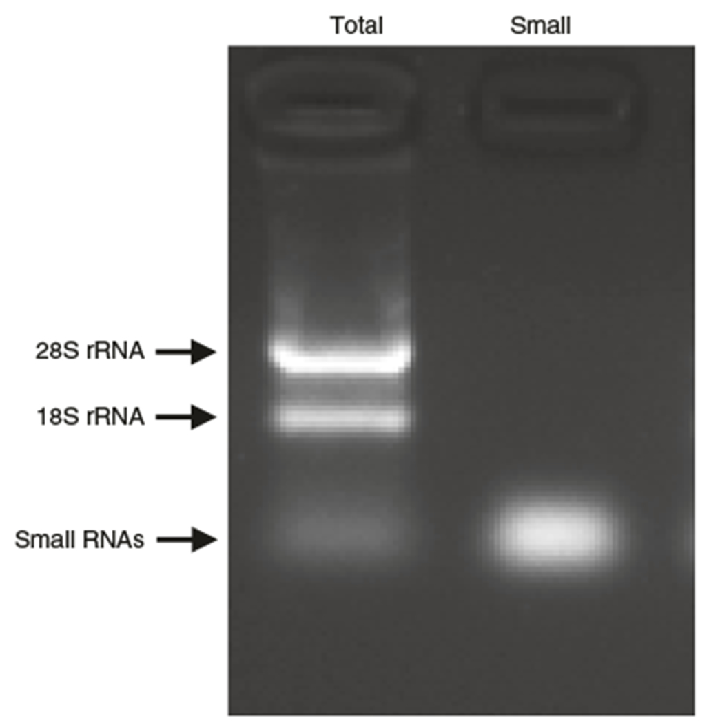 Fig. 3 |