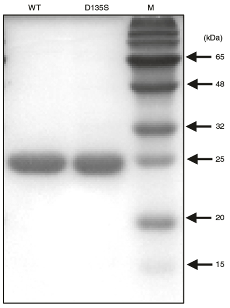 Fig. 4 |