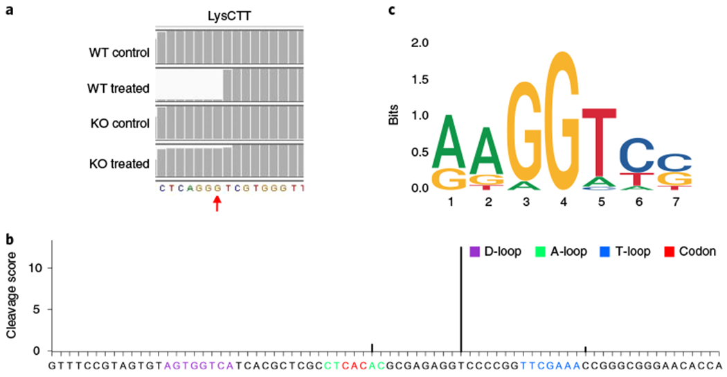 Fig. 7 |