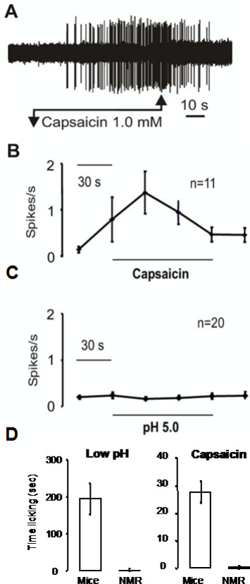 Fig. 11