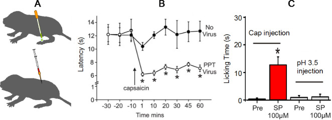 Fig. 13