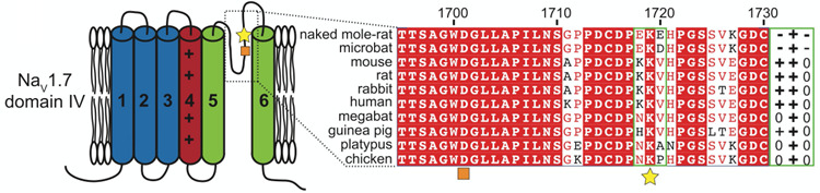 Fig. 12