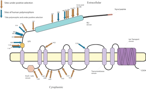 Figure  2. 