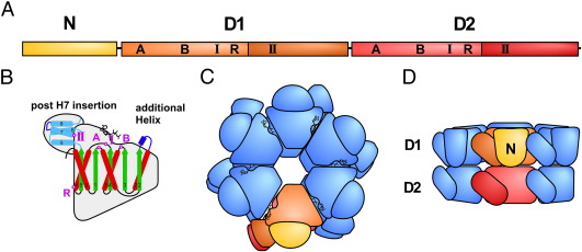 Fig. 2