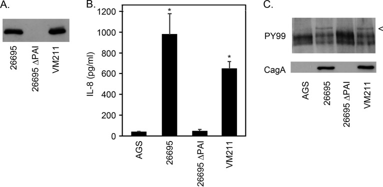 FIG 6