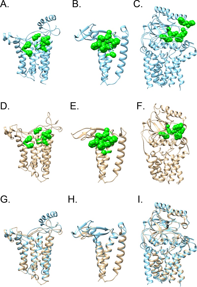 FIG 1