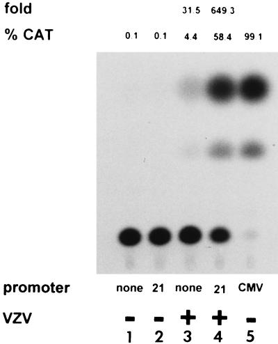 FIG. 4