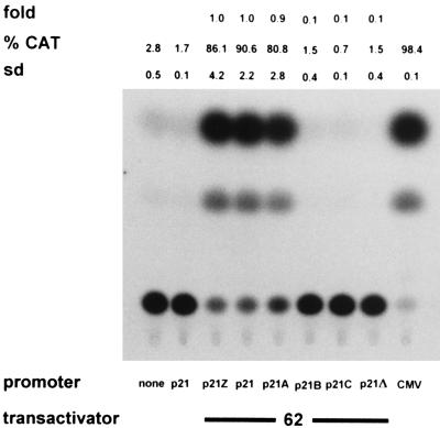 FIG. 6