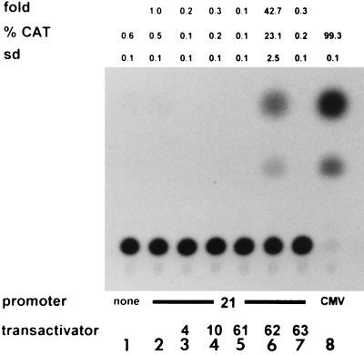 FIG. 5