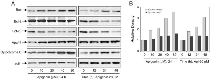 Fig. 8