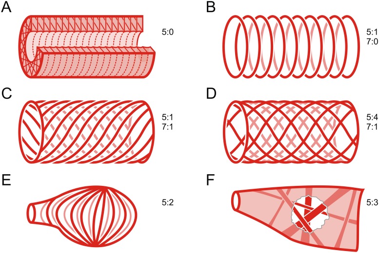 Fig 7