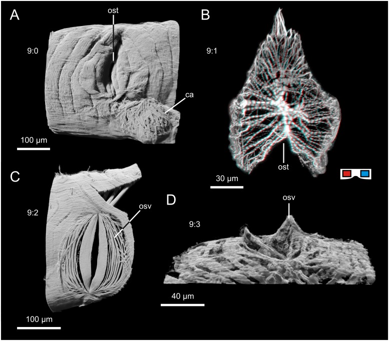 Fig 8