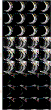 FIGURE 13.