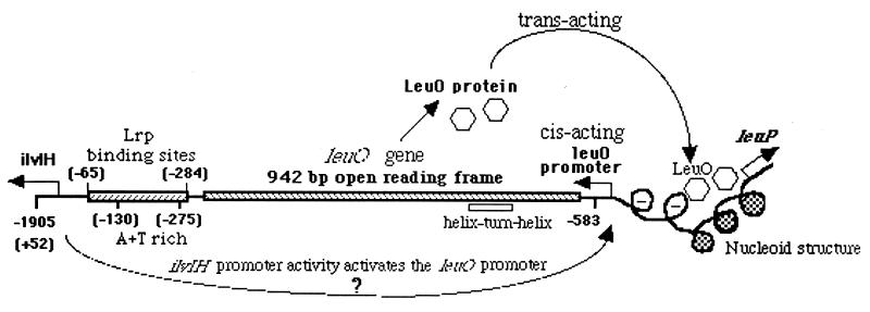 FIG. 5