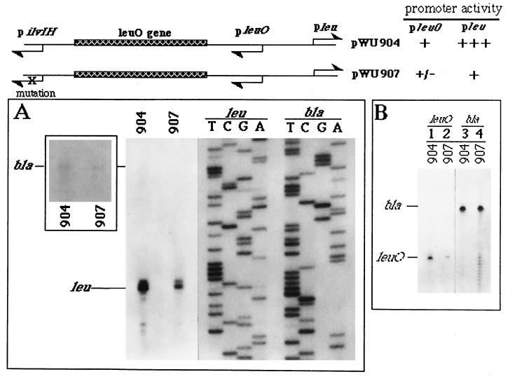 FIG. 6