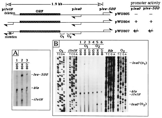 FIG. 1