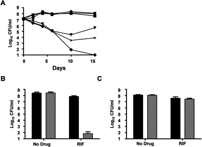 FIG 6 