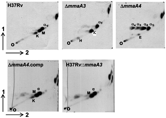 FIG 2 