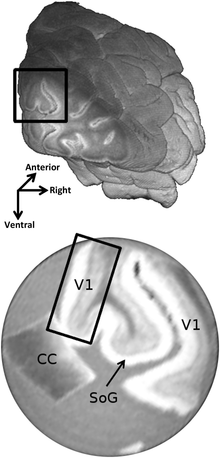 Figure 1.